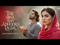 Download Lagu Tere Bina Main Adhoora Lagda | A Sufi Melody That Will Touch Your Heart | @sufi-punjabi 