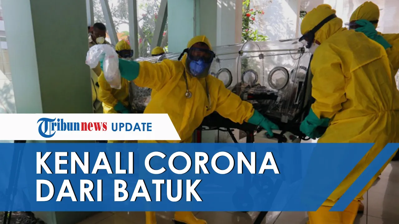 Ciri Tubuh Terkena Covid 19 dan Cara Mencegahnya - Fakta Menarik Indonesia masih menghadapi pandemi . 