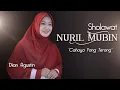 Download Lagu SHOLAWAT NURIL MUBIN - نورالمبين \