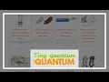 Tiny quantum computer solves real optimization problem