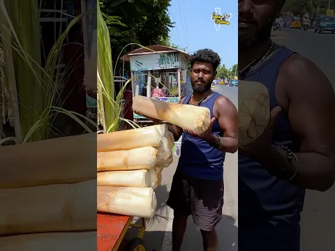 Tamil Style Healthy Coconut Stem  Benefits #coconut #healthyfood #tamilnadu #erode #shorts