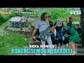 Lagu Rena Movies - Bokong Semok X Paradise I Mahesa music live stadion putra raharja - kedamean
