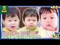 Download Lagu Jeong Woo tears into the ribs l The Return of Superman KBS 250409
