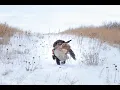 Teach Your Pup to Love Retrieving Part 2