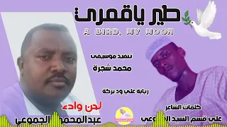 الفنان عبدالمحمود الجموعي طير ياقمري NEW 2023 الغزال الاسمر ودحسان 