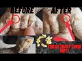 WHEN and HOW To Clean Male BEARDED DRAGON Pores