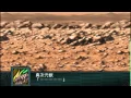 Download Lagu Super Robot Wars Z2: Saisei Hen - Solar Aquarion All Attacks (English Subs)