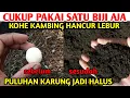 Download Lagu Dit is het geheim om snel tientallen zakken geitenmest te vernietigen en geitenmest te fermenteren.