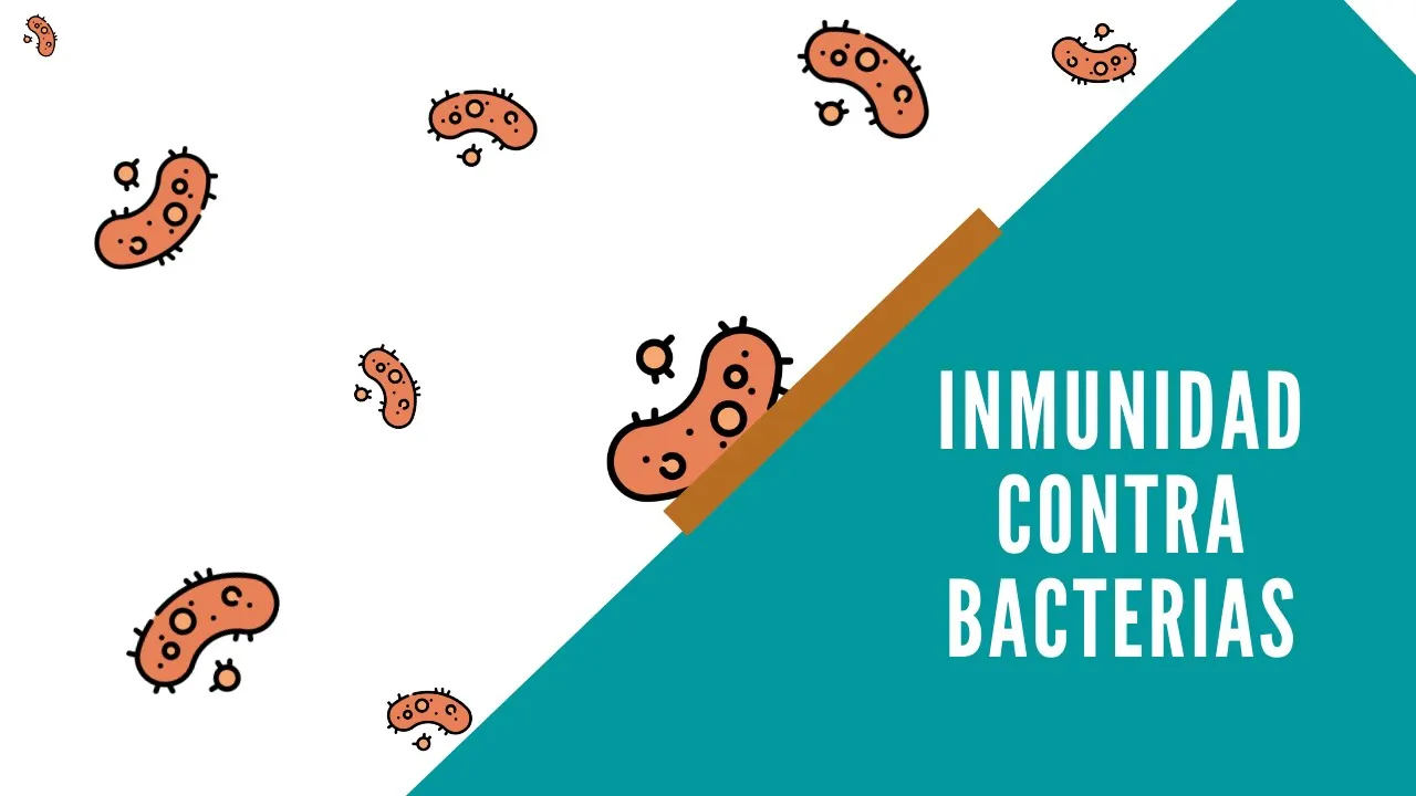 INMUNIDAD CONTRA BACTERIAS | LA PROFE DE INMUNO | CLASE 5