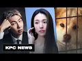BTS Wins Against Grammys Ha-young Pro-Japan Ancestry Dog Meat Bus Houses KPC NEWS