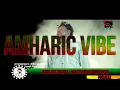 Download Lagu Amharic vibe | Ethiopian | Oromo | Somali mixtape | DJ PUKI