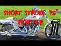 Harley 95 is the Twin Cam 88 Sleeper