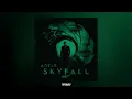 Adele - Skyfall