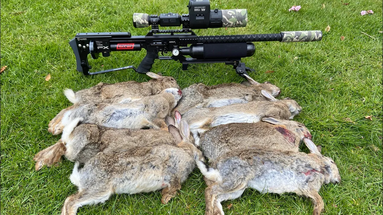 AIR RIFLE HUNTING RABBITS /FX IMPACT AND ATN 4K