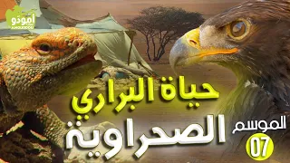 AmouddouTV 108 أمودو حياة البراري الصحراوية 