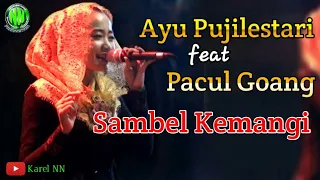 Download sambel kemangi AYU pacul goang cover kendang PANJI GOKIM MP3