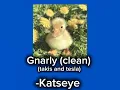 Gnarly (clean) -Katseye (with takis and tesla) 
