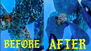 What Happens If You Never Clean Your Boat Propeller?