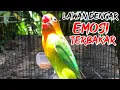 Download Lagu Pancingan LB Ngetik Ngekek Sadis Membuat Lawan Makin Terbakar Emosi !!!