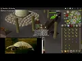FRUIT STALL THIEVING BASKET METHOD OSRS