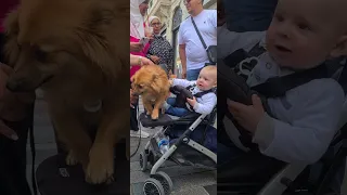 کودک و سگ Dog Children 