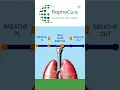healthy lung test #lungtest #test #healthylungtest