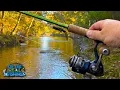 Are There Still Smallmouth in my Favorite Creek Cold Weather Fishing Changes Incoming