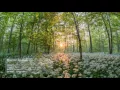 Jacob Mikesh Filburt ✦ Philipp Dolphia (Original Mix)