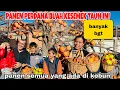 Lagu PERTAMA PANEN BUAH KESEMEK DI KEBUN SENDIRI YANG BUAHNYA MELIMPAH RUAH \u0026DI AJAK MAKAN BERSAMA