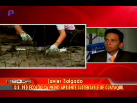 Medio Ambiente Sustentable presentó proyecto de reconocimiento tierra