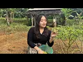 Download Lagu WOOW...MENGEJUTKAN SEMUA ORANG‼️TERNYATA NENG NINING SUDAH NGEBET KEPINGIN DILAMAR
