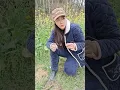 Download Lagu Mastran burung lucu viral kocak ngakak meme funny memes moments