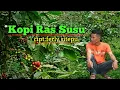 Download Lagu KOPI RAS SUSU COVER LUMBAN NAHOR Cipt:FERLY SITEPU