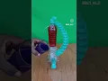 water cycle made by plastic bottle cycle physics experiment
