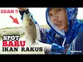 SPOT EDAN !! mancing mujaer kp singkil ( Muara gembong )
