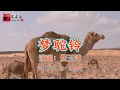 《梦驼铃（完整版）》费玉清原唱