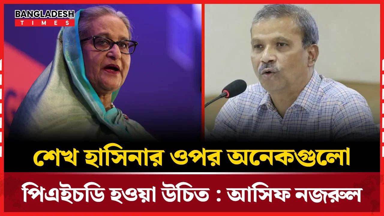 রাষ্ট্র ধারণা বোঝেন না শেখ হাসিনা, দাবি আসিফ নজরুলের