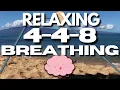 Download Lagu 4-4-8 Breathing Technique for Relaxation (1 Hour)