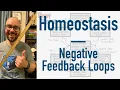 Homeostasis - BEST Way to Learn Negative Feedback Loops Blood Pressure Body Temperature Examples