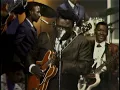 Freddie King - Have You Ever Loved A Woman (Live)