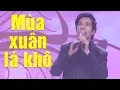 Download Lagu HÁT GÌ MÀ HAY QUÁ TRỜI - MÙA XUÂN LÁ KHÔ | NHẠC XUÂN XƯA ĐƯỢC HÁT LẠI HAY NHẤT 2020