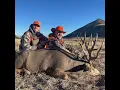 Episode 8 Tags Time and Experience Lead to Big Bucks with Cody Christensen AKA Muley 73