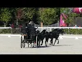Download Lagu 37 LEGEMAAT VAN BEMMEL Dianne, NED, CH M P A4,A2,A1, Le Pin au Haras, FRA, Part of Dressage P4, 19 0