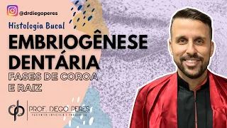 Embriogênese Dentária - Fases de Coroa e Raiz [ Histologia Bucal ]