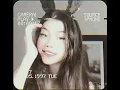 𝘛𝘩𝘦 𝘊𝘢𝘳𝘥𝘪𝘨𝘢𝘯𝘴 - 𝙀𝙧𝙖𝙨𝙚/𝙍𝙚𝙬𝙞𝙣𝙙 (𝘚𝘭𝘰𝘸𝘦𝘥 × 𝘙𝘦𝘷𝘦𝘳𝘣)