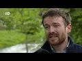 The great death of insects | DW Documentary