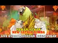 Download Lagu NGAMUK|| KEWAN-KEWAN NEW SATRIA RIMBA LIVE DUDAN PASURUAN MERTOYUDAN