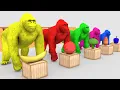 Download Lagu Baby Boss - Dance Monkey ( cute little kids Video )