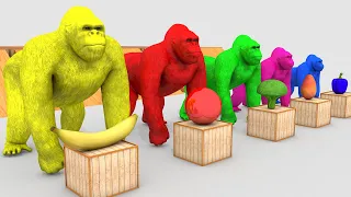                                                     دندنها