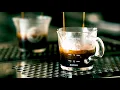 Mugshot Coffee Roasters